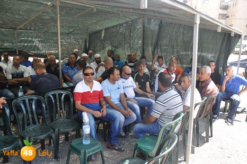 sol7desoqylud615 (73).JPG